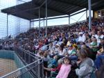 Taunton Stadium saw over 31,000 fans throughout the 2010 summer.